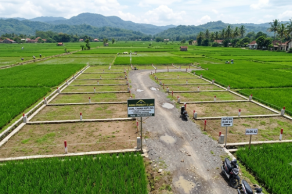 Beli Tanah Kavling di Desa