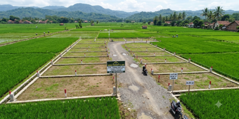 Beli Tanah Kavling di Desa